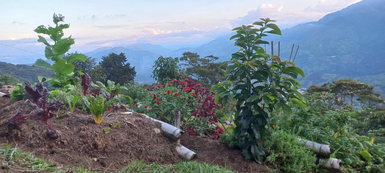 Ecohotel Soplo Del Tambo Cocorná Kültér fotó