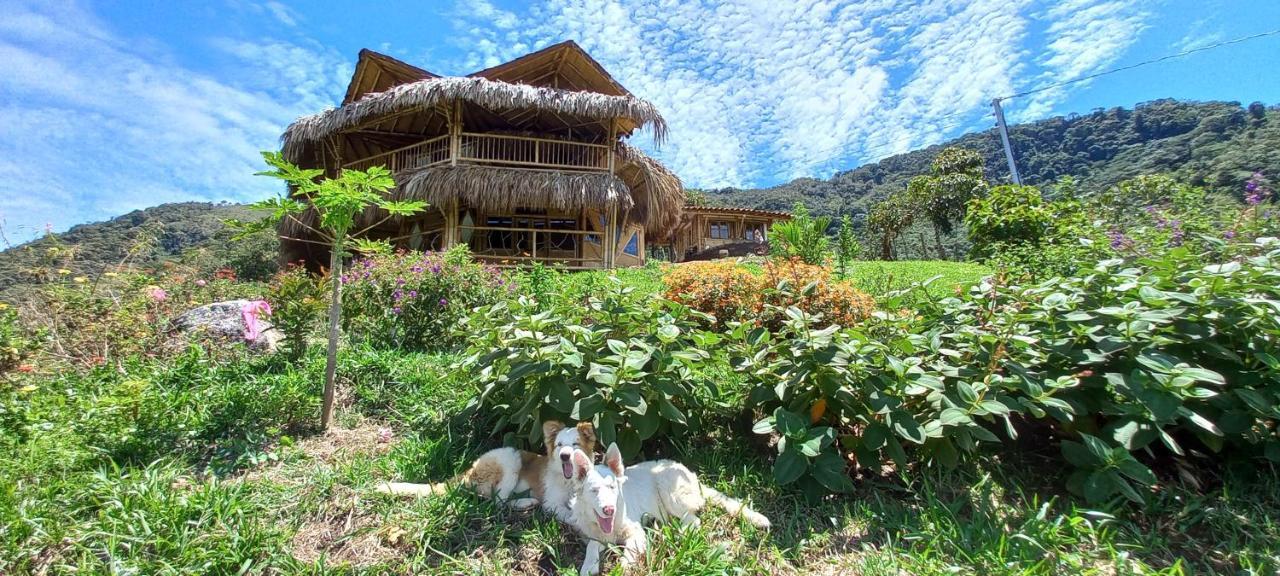 Ecohotel Soplo Del Tambo Cocorná Kültér fotó