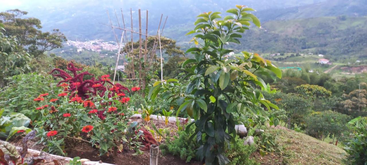 Ecohotel Soplo Del Tambo Cocorná Kültér fotó