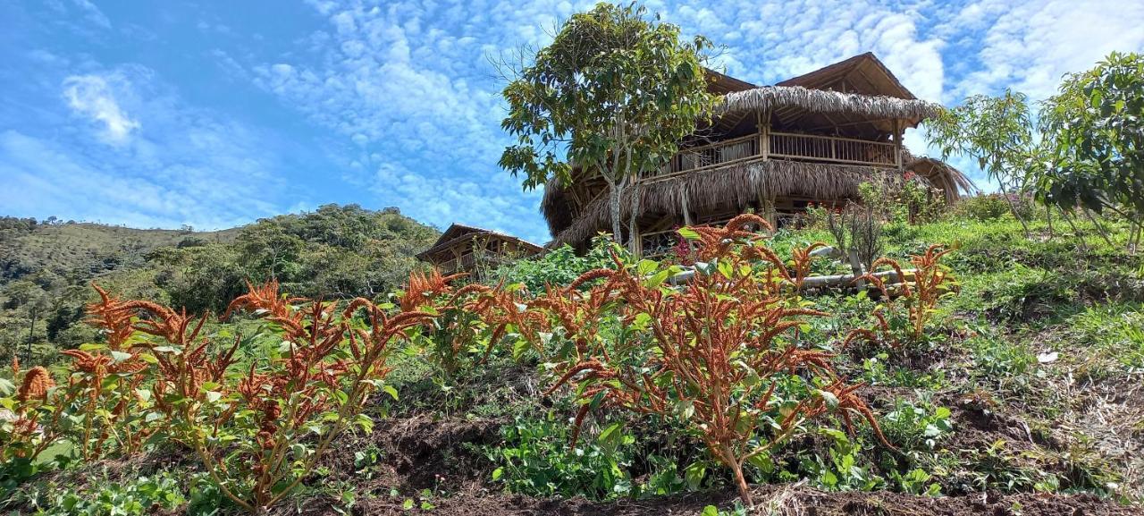 Ecohotel Soplo Del Tambo Cocorná Kültér fotó