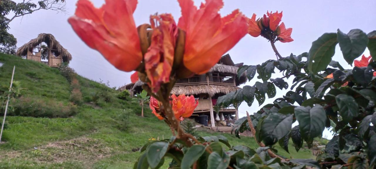 Ecohotel Soplo Del Tambo Cocorná Kültér fotó