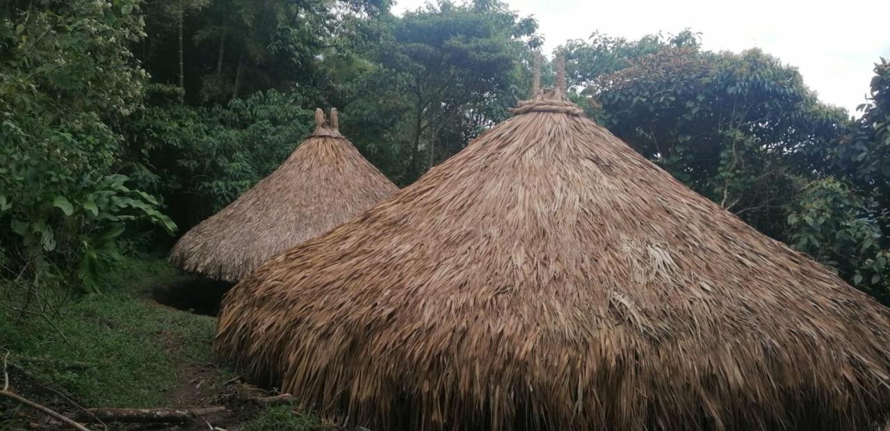 Ecohotel Soplo Del Tambo Cocorná Kültér fotó